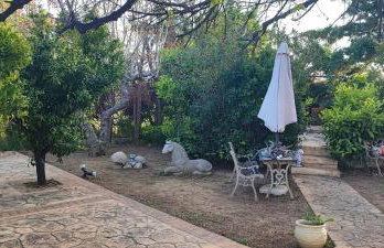 Stone house with seaview - Foto 11