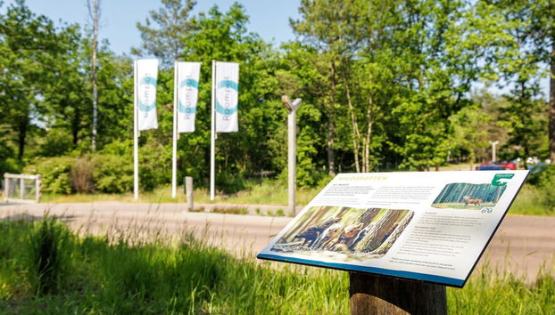 Comodidade do alojamento