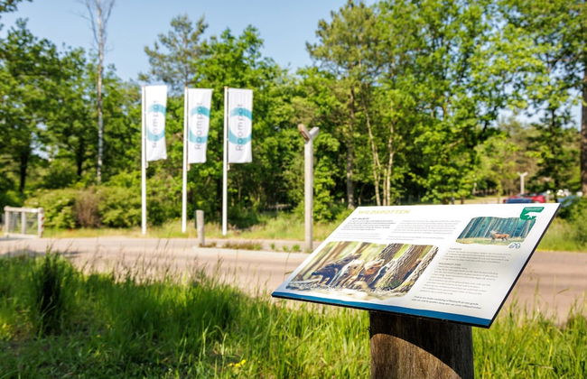 Forest-edge Villa With Sauna - Foto 5