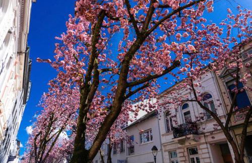 Downtown Apartments - Foto 55