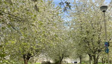 Culloden Stables 4 - Foto 5