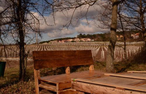 Golden Valley apartment & ranch - Foto 46