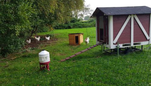 NEU! Landhaus Ostfriesenruhe - Foto 5