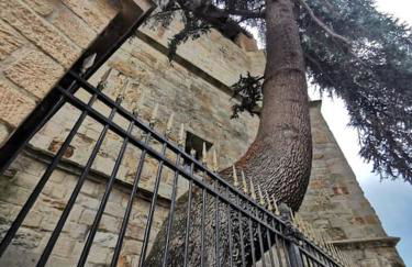 Style et ambiance - Foto 23