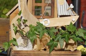 Ferienwohnung FeWo Plaggenburg- die Kleine große - Foto 23