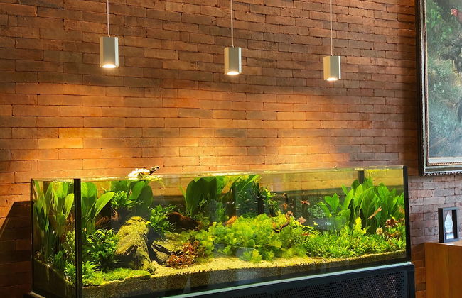 Nagomi Suites & Hotel - Foto 48