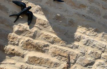 Le mirondel - Photo 11