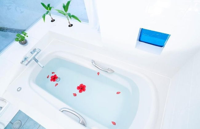 Blue moon in Sesokojima - Foto 23