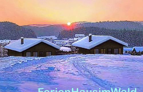 BayerischerWald-Ferien-Blockhaus-Panoramablick-Grafenau Haus im Wald-Vogelthenne 19, fast Alleinlage-ILZtal-Blick nähe Rothauer, Saldenburger, Ebenreuther und Eginger See im Dreiburgenland, unweit der Dreiflüße-Stadt PASSAU an der Donau Inn und ILZ - Foto 44