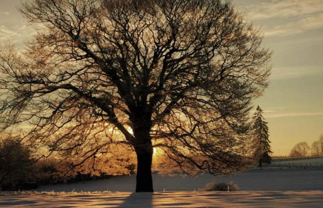 Libramont Stone Garden Haven - Photo 37