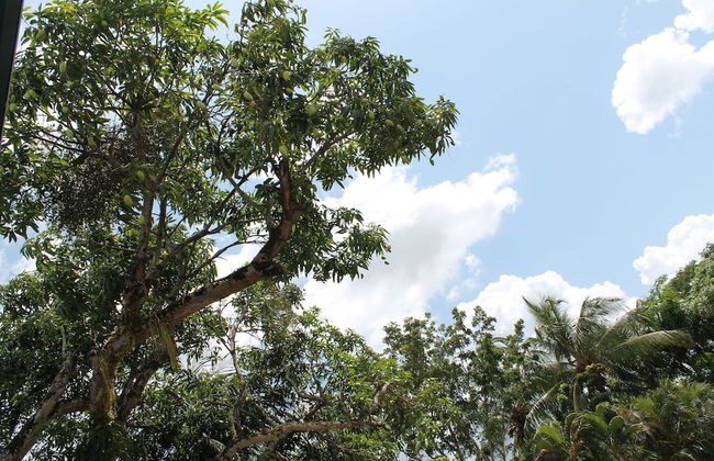 Asteria Studios - Photo 70