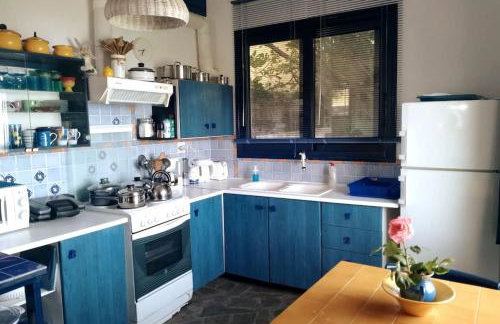 Blue Vista-Ikaria - Photo 14