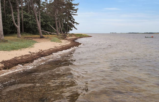 "Jeip" - 400m to the fjord - Foto 8