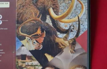 Appartement à la campagne - Foto 39