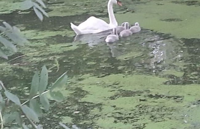 Holiday Home Lalelu Comfortable Vacation Home - Foto 37