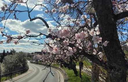 Ferienwohnung Freiraum - Foto 21