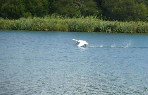 Au clos du pont, appartement relax - Foto 29