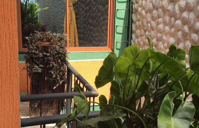 Apartahotel Tierras Amazonicas - Photo 16