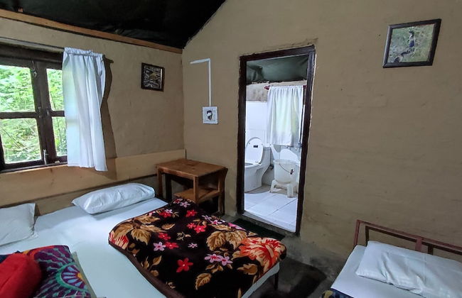 Hail Himalayas - Foto 16