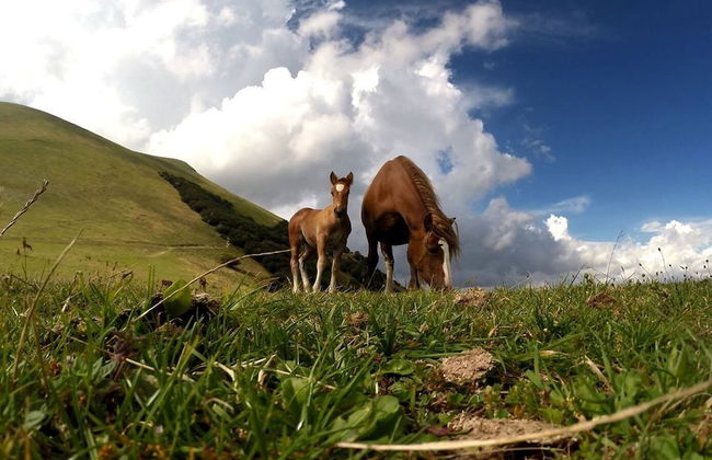 Faro Rosso - Photo 28