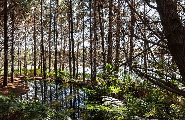 Driftwood Seaside Escapes - Foto 32