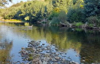 Casa D'Avó Tiz - Foto 18