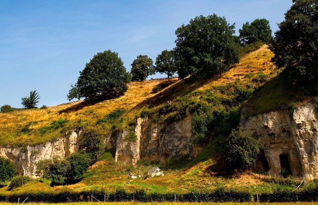 Holiday Home in Limburg Near Cafe 't Weverke - Photo 19