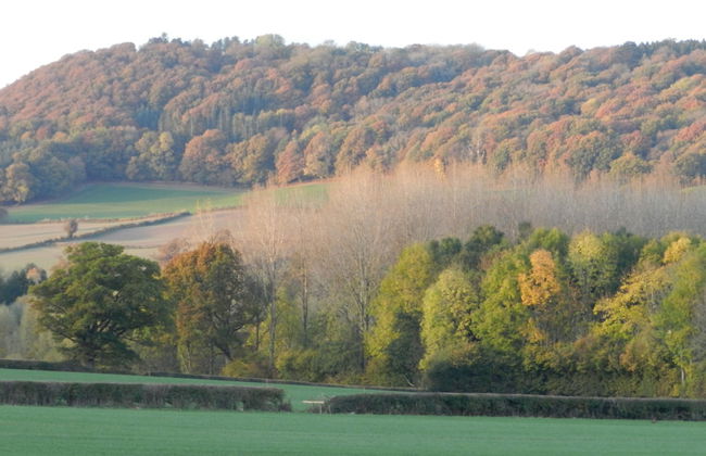 Cosy 5m Bell Tent Glamping in Rural Herefordshire - Foto 18