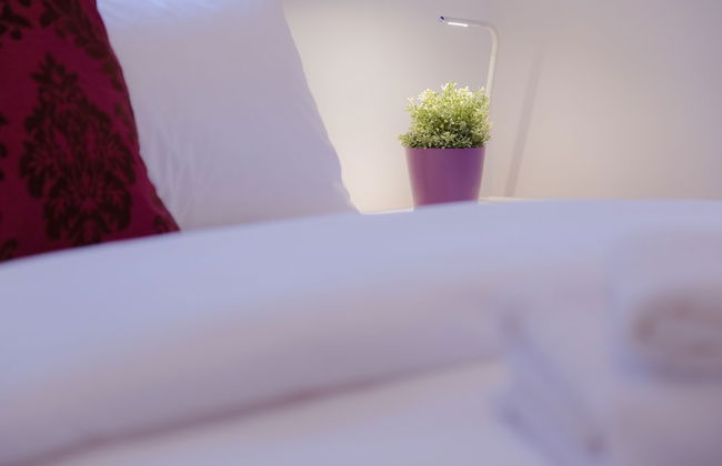 Shenkin Vilmar Apartments - Foto 12