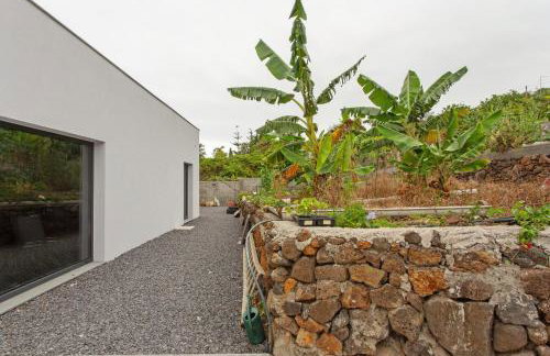 Paraiso Madeira - Suites - Foto 5