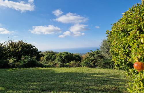 Villa del Carrubo a due passi dal mare di Cefalù - Foto 45