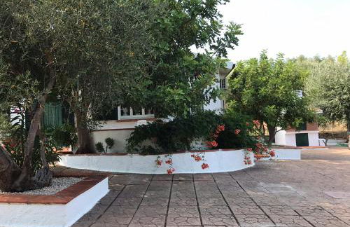 Villa Il Carrubo - Basilicata - Foto 15