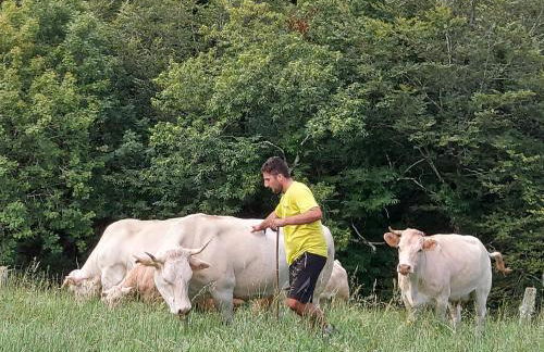 CASA RURAL Urruska - Foto 20