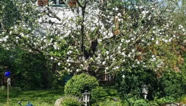 Ferienwohnung Gerold - Foto 2