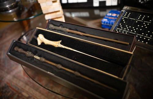 NEW Slytherin Studio - Dogs OK - Foto 46