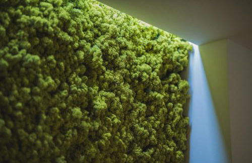 Parkhotel Flora - Foto 17