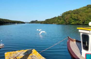 Modern cosy apartment walking distance to many cove beaches and coast path walks as well as the famous Helford river - Foto 35