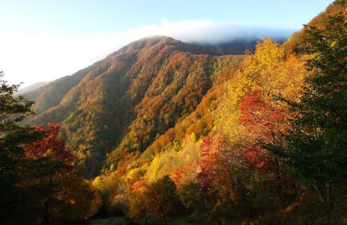 La vecchia cartiera - Foto 45