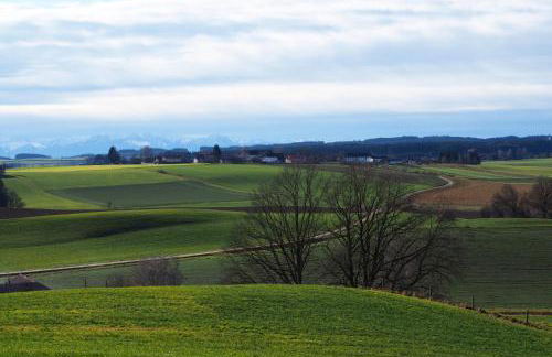 Biohof Liebhart - Photo 6