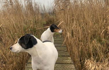 Chestnut Cottage at Gravel Farm - Photo 19