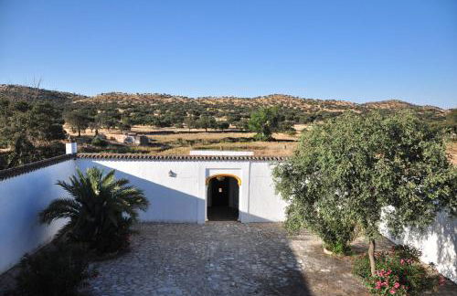 La Matilla - Foto 10