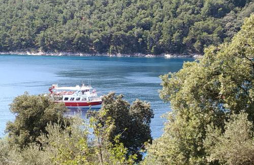 Villa Luma Apartments - Foto 12