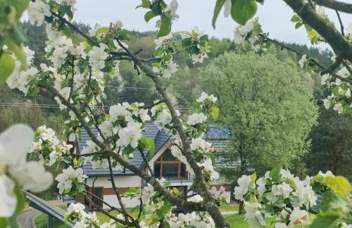 Kraina Rysia - Photo 17