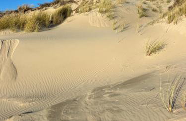 Le Petit Studio de Merlimont - Foto 31