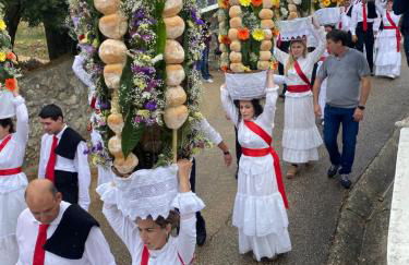 Horto do Amor - Foto 22