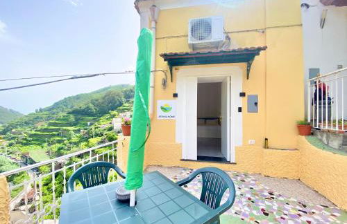 Joshua Home - Foto 23