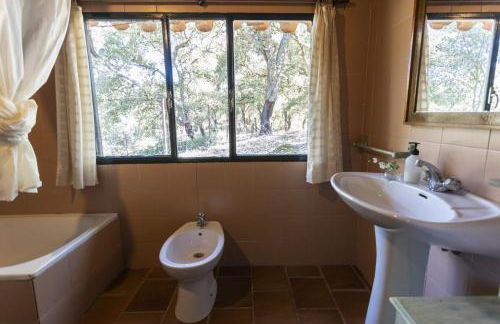 Pozuelo 1 JABUGO - Foto 9