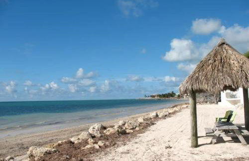 Beachfront paradise, heated pool and ocean view #9 - Foto 18