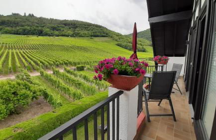 Haus Weingarten FERIENWOHNUNGEN - Foto 10