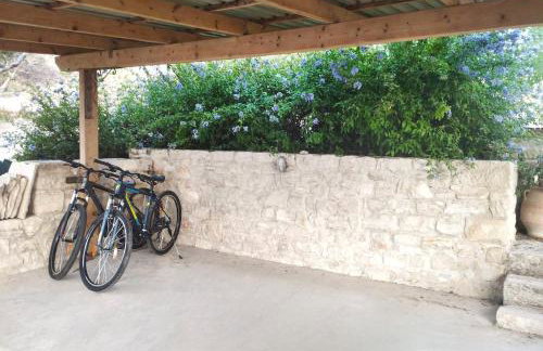 Villa Vitsilias under the cretan sky - Photo 50